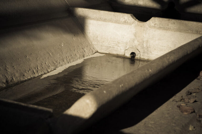 La Balme les Grottes - Fontaine