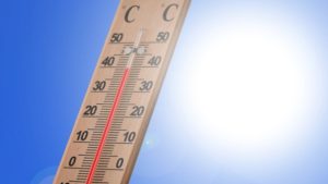 Lire la suite à propos de l’article Plan canicule activé