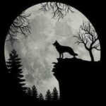 Soirée Halloween