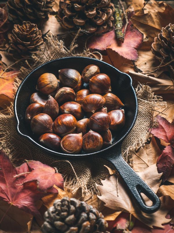 Fête des marrons à la Brosse