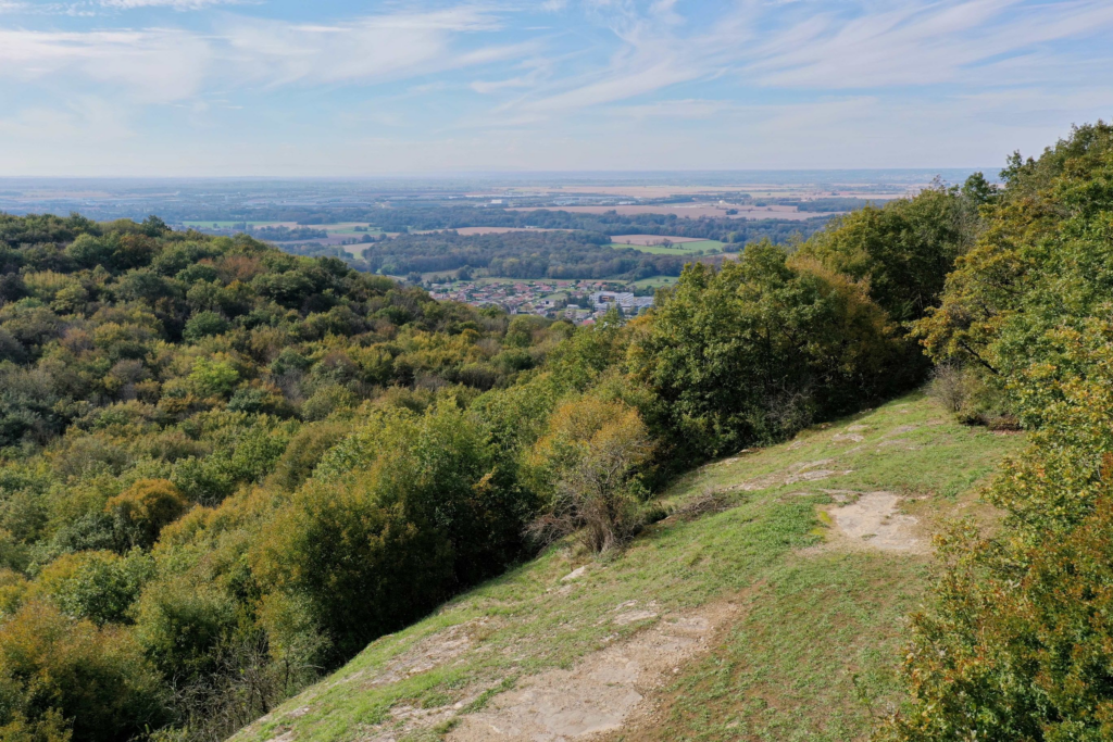 ENS_Vue depuis les pelouses seches