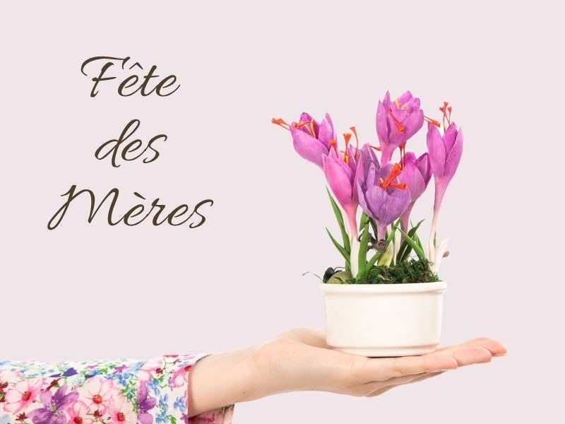 Fête des mères